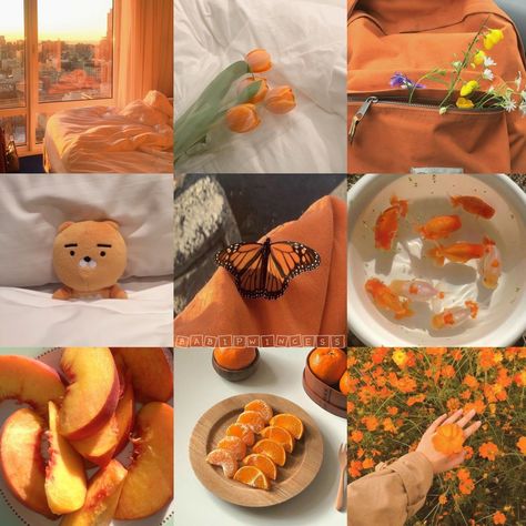 Orange Mood Board Aesthetic, Fruit Mood Board, Orange Moodboard Aesthetic, Orange Mood Board, Orange Moodboard, Mood Board Fashion Inspiration, Adopt Idea, Color Boards, Character Traits