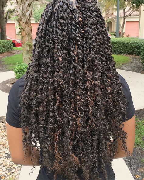 Standard size Passion Twists 💕. Colors #4 & 30 😍. (SWIPE) #thebohobabe #thegoddesslocsgirl #miamihair #miamigoddesslocs #miamibriads… Black Hair Hairstyles, Black Hair Tips, High Porosity Hair, Passion Twists, Twisted Hair, Twist Braid Hairstyles, Natural Hair Tips, African Braids Hairstyles, Box Braids Hairstyles