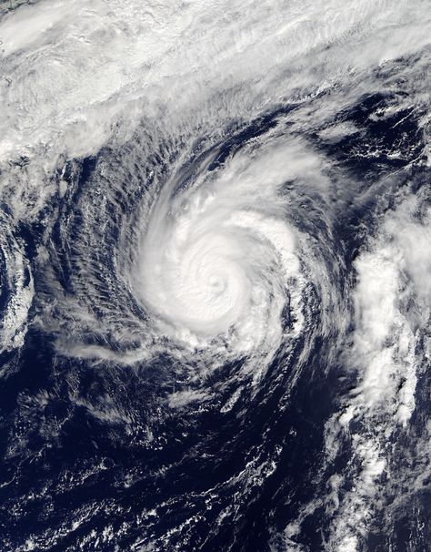 Packing 150 mph sustained winds, a storm some meteorologists are calling the “biggest storm in history” will hit coastal regions of the U.S… Weird Weather, Picture Worth A Thousand Words, Strange Weather, Cell Division, Educational Activities For Kids, Satellite Image, Science Photos, Meteorology, Beach Landscape