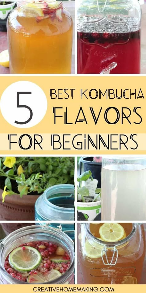 Kombucha Recipes, Best Kombucha, Kombucha Flavors, Homemade Kombucha, Kombucha Recipe, Kombucha Tea, Fermentation Recipes, Fermented Drink, Probiotic Foods