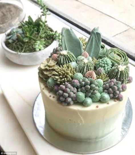 Brooklyn bakery specializes in plant and cactus decorations | Daily Mail Online Cactus Cake Ideas, Cupcakes Succulents, Cactus Cakes, Succulent Cakes, Nyc Bakery, Cactus Cupcakes, Succulent Cupcakes, Succulent Cake, Cactus Cake