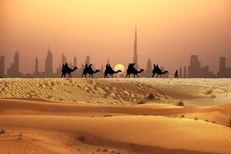 Arabic Pictures, Camel Riding, Desert Pictures, Dubai International Airport, Cheap Airfare, Office Wallpaper, Dubai Desert, Desert Safari, 5 Star Hotel