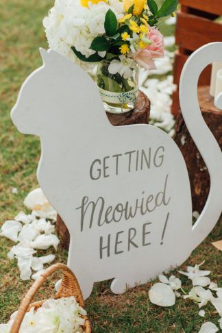 Phuket Wedding, Cat Wedding, Destination Wedding Photos, Future Wedding Plans, Cute Wedding Ideas, Wedding Boutique, Cat Theme, Wedding Themes, A Sign