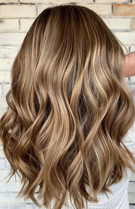 Balage Highlights Brunette, Hair Color Ideas Pale Skin Blue Eyes, Low Lights For Reddish Brown Hair, Bronze Blonde Hair Color, Baby Lights Light Brown Hair, Bronde Haircolor 2023, Hair Color Ideas For Brunettes Over 40, Warm Light Brown Hair With Highlights, Light Warm Brown Hair Color