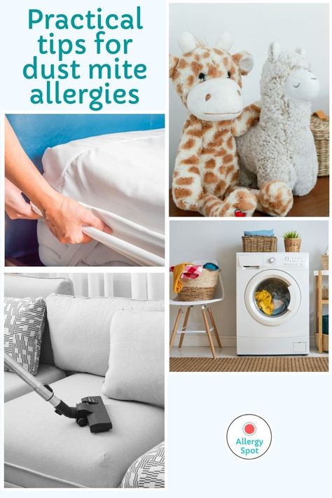 Kill Dust Mites, Things To Clean, Clean Organized House, Mold Allergy, Dust Mite Allergy, Fever Symptoms, Allergy Shots, Nontoxic Cleaning, Dairy Free Breastfeeding