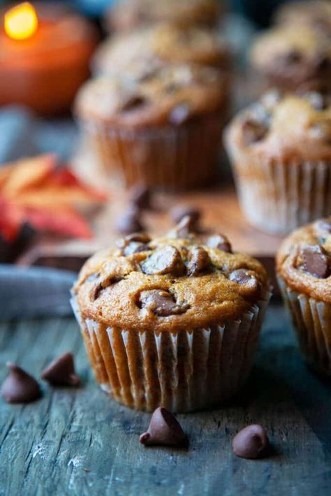 Easy Pumpkin Chocolate Chip Muffins, Banana Chip Muffins, Pumpkin Chocolate Chip Muffin Recipe, Pumpkin Banana Muffins, Gluten Free Pumpkin Muffins, Jumbo Muffins, Sweet Potato Muffins, Pumpkin Chocolate Chip Muffins, Pumpkin Banana