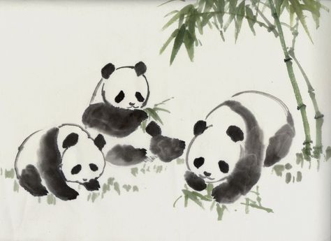 Drawings Of Animals, Chinese Panda, Panda Painting, Chinese Drawings, Panda Drawing, Sumi E Painting, Chinese Art Painting, Japanese Drawings, Chinese Brush Painting