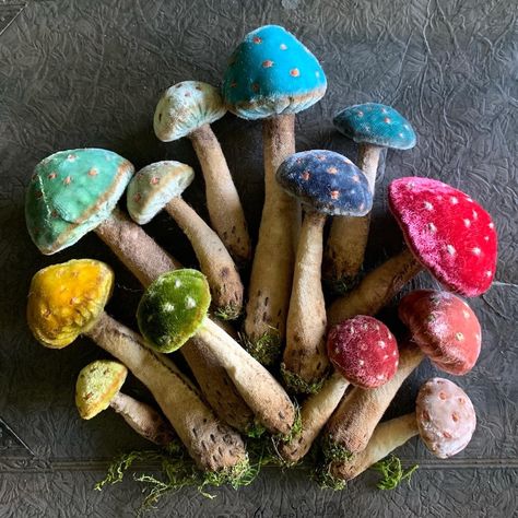 Velvet Mushrooms, Mushroom Kits, Mushroom Crafts, Silk Velvet Fabric, Paper Crowns, Embroidered Velvet, Velvet Collection, Hand Dyed Wool, Bottle Brush Trees