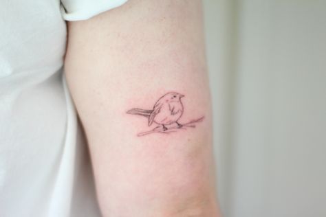 Small Finch Tattoo, Fineline Robin Tattoo, Robin Outline Tattoo, Small Robin Tattoo Black And White, Robin Line Tattoo, Fairy Wren Tattoo, Fine Line Robin Tattoo, Carolina Wren Tattoo, Tiny Robin Tattoo