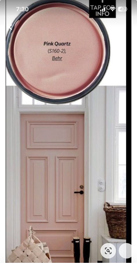 Blush Color Paint, Small Pink Bathroom Ideas Paint, Magnolia Paint Pink, Beautiful Interior Paint Colors, Painted Pink Bathroom, Sherwin Williams Pressed Flower Bedroom, Feminine Design Interiors, Pink Quartz Paint Color, Peach Beige Paint