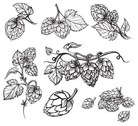 Hops Tattoo Beer, Beer Hop Tattoo, Pittsburgh Tattoo, Beer Tattoo, Hop Tattoo, Lotusblume Tattoo, Hops Vine, Beer Tattoos, Hops Plant