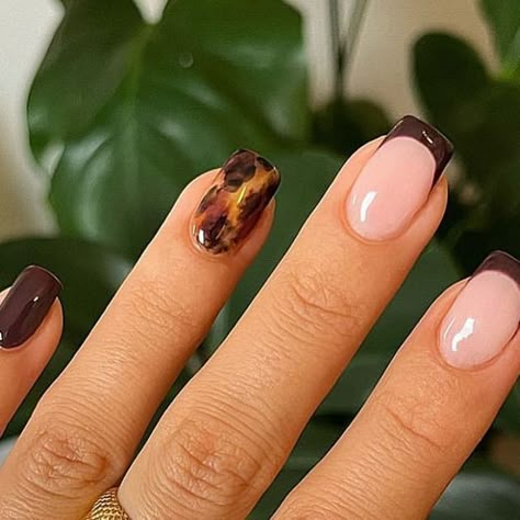 Torti Nails Design, Tort Shell Nails, Tort Nails, Torties Nails, Tortus Nail Designs, Aw Nails, Fall Bails, Tortie Nails, Canada Nails