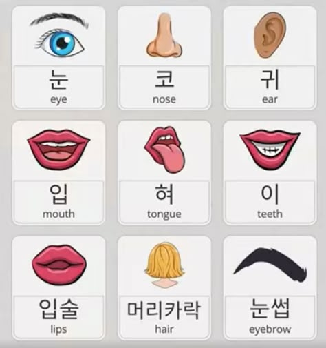 Korean Flashcards, Japanese Resource, Learning Korean Grammar, Learn Basic Korean, Learn Korean Alphabet, 3d Karakter, Easy Korean Words, Learn Hangul, Learn Korea