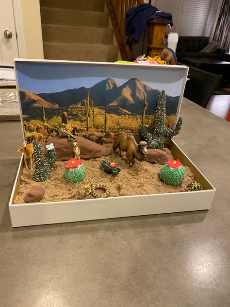 Desert Biome Diorama, School Project Animal Habitat, Shoe Box Biome School Projects, Biome Box Project, Animals Habitat Project, Desert Habitat Diorama, Animal Habitats Project, Desert Diorama Ideas, Biome Activities For Kids