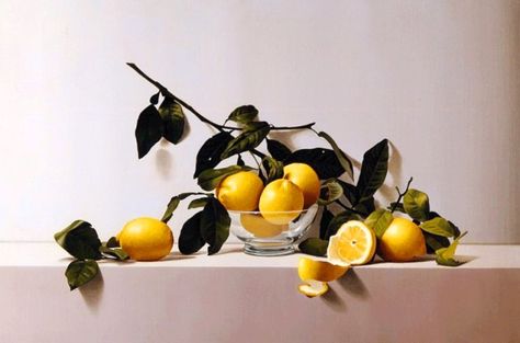 IMAGENES Y CONCEPTOS DEL ARTE MODERNO: Cuadros en óleo: Bodegones con frutas Fruit Painting, Study Style, Hyperrealism, Lemon Lime, Food Illustrations, Still Life Painting, Art Oil, Painting Inspiration, Vintage Prints