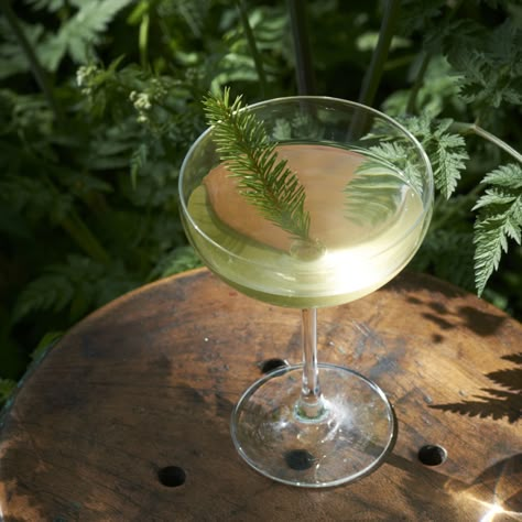 Make mine a Woodland Martini! Infusing the pine flavour of Douglas Fir and the smokiness of charred sage, this cocktail recipe is like a walk in the woods! | Wild Cocktails by Lottie Muir, Photo: Kim Lightbody Earthy Alcohol Drinks, Pine Syrup Cocktail, Forest Themed Drinks, Woodsy Cocktail, Botanical Drinks Cocktails, Forest Cocktail, Printed Journal, Garden Cocktail, Alpine Forest