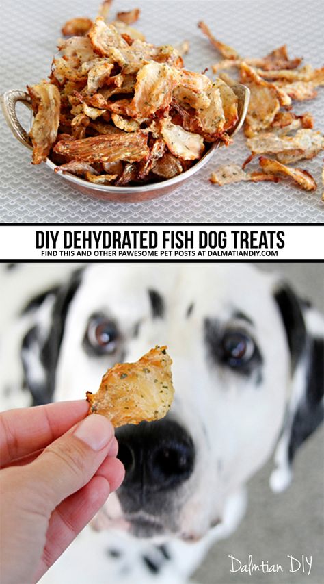 Dehydrator Dog Treats, Homemade Pet Treats, Pet Treats Recipes, Dog Treats Homemade Easy, Easy Dog Treat Recipes, Dehydrated Foods, Chicken Jerky, Dog Biscuit Recipes, Easy Dog Treats