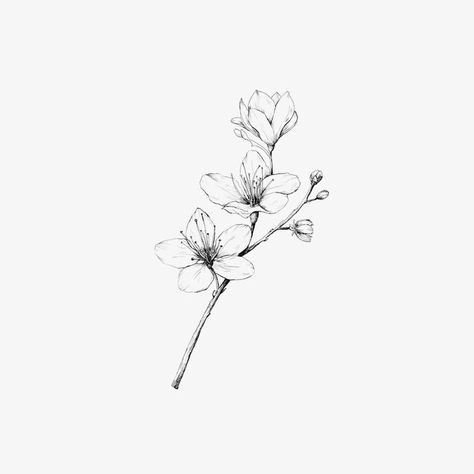 Small Lily Tattoo, Apple Blossom Tattoos, Jasmine Tattoo, Lily Flower Tattoos, Magnolia Tattoo, Neotraditional Tattoo, Orchid Tattoo, Men Tattoos, Small Flower Tattoos