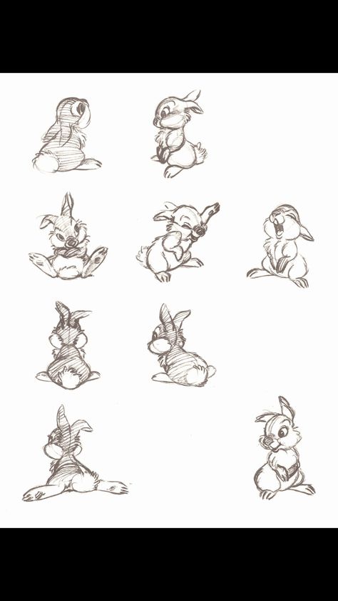 Thumper sketch Disney Sleeve, Concept Sketches, Rabbit Tattoos, Disney Tattoo, Disney Concept Art, Disney Sketches, Concept Art Drawing, Disney S, Disney Tattoos