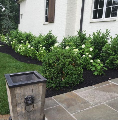 Landscaping Entryway, Southern Landscape, Boxwood Landscaping, Hydrangea Landscaping, Landscape Inspiration, Driveway Landscaping, Farmhouse Landscaping, Front Landscaping, Landscape Design Plans