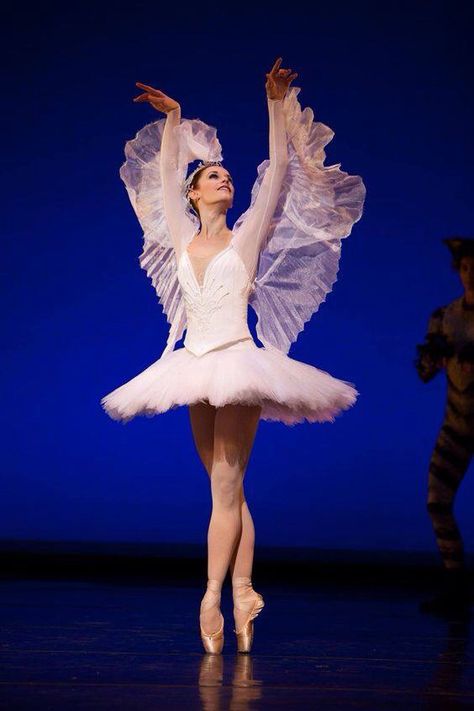 Ballet Images, Ballerina Outfit, Anna Pavlova, Ballet Beauty, Bird Costume, Ballet Art, Bird Dress, Ballet Clothes, Pretty Ballerinas