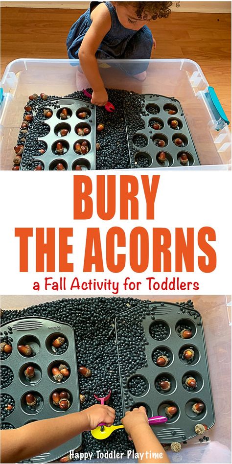 Bury The Acorns: An Easy Toddler Activity - HAPPY TODDLER PLAYTIME Fall Sensory Bin, Fall Activities For Toddlers, Fall Preschool Activities, Easy Toddler Activities, Play Activity, Fall Activity, Sensory Activities Toddlers, Toddler Sensory, Toddler Activity