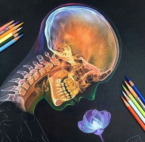 Beautiful skull art Black Paper Art, Prismacolor Art, Pencil Drawing Tutorials, Black Paper Drawing, Colored Pencil Art, Arte Sketchbook, Paper Drawing, Color Pencil Art, Color Pencil Drawing