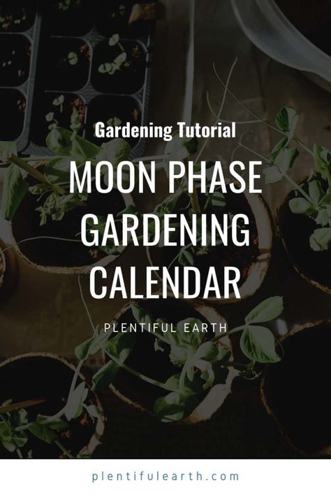 Moon Planting Calendar 2023, Moon Garden Ideas, Moon Gardening, Gardening By The Moon, Witch Plants, Moon Information, Biodynamic Gardening, Moon Chart, Flower Planting