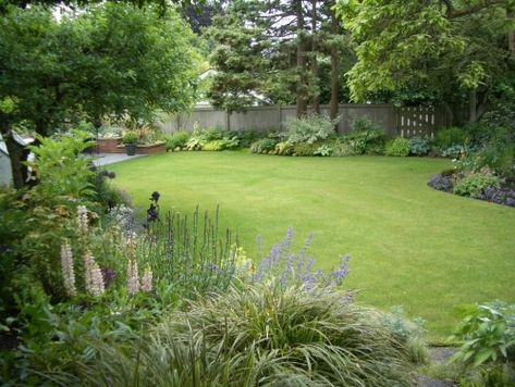 traditional landscape by Glenna Partridge Garden Design Landscape Design Ideas, Pintura Exterior, Easy Landscaping, Shade Perennials, Traditional Landscape, Shade Trees, Landscaping Tips, Ideas Pictures, Green Life