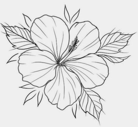 Outline Tattoo Ideas For Women, Hawian Flowers Drawings, Hibiscus Painting, Hawaii Tattoos, Printable Flower Coloring Pages, Hibiscus Tattoo, Flower Tattoo Drawings, Doodle Art Flowers, Intricate Tattoo