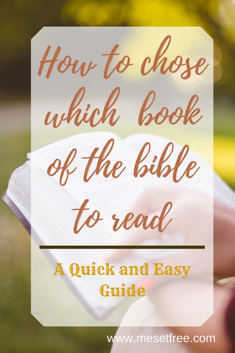 Bible Books To Read When, First Time Bible Reading Plan, What Book Of The Bible To Read, Books In The Bible To Read When, Which Bible Book To Read, Books Of The Bible To Read For Women, What Books Of The Bible To Read First, Books Of Bible Categories, Books In The Bible To Read