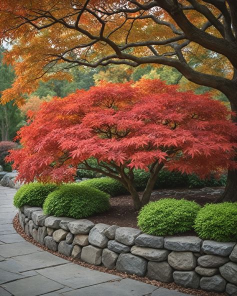 7 Best Trees For Flower Beds Tulip Tree Landscapes, Trees For Flower Beds, Ornamental Trees Landscaping, Japanese Landscaping, Small Ornamental Trees, Evergreen Landscape, Small Japanese Garden, Landscape Curbing, Landscaping With Boulders