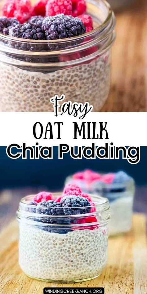 Easy Oat Milk Chia Seed Pudding Chia Pudding With Oat Milk, Chia Pudding Oat Milk, Chia Seed Pudding With Oatmilk, Oat Milk Chia Pudding, Chia Seed Pudding Oat Milk, Chia Seed Oatmeal Pudding, Oatmeal Pudding Recipe, Chia Pudding Coconut Milk, Chia Seed Pudding Coconut Milk