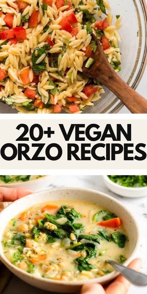 Vegan Orzo Recipes Vegan Orzo Recipes, Orzo Recipes Healthy, Vegan Orzo, Orzo Pasta Recipes, Orzo Dishes, Shaped Pasta, Orzo Recipes, Vegan Pasta Recipes, Can We Talk