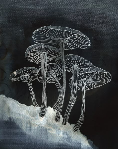 Black mushrooms pen and ink drawing Botanical Mushroom Drawings, Metallic Pen Drawing, Mushroom Ink Drawing, Mushrooms Black And White, Mushroom Pen Drawing, Black And White Mushroom, Mushroom Line Drawing, Mushroom Line Art, Mushroom Paint