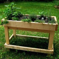 Boxes Raised Garden Bed Plans, Garden Boxes Raised, Table Garden, Building A Raised Garden, Pallet Garden, Healthy Garden, Master Gardener, Organic Gardening Tips, Garden Living