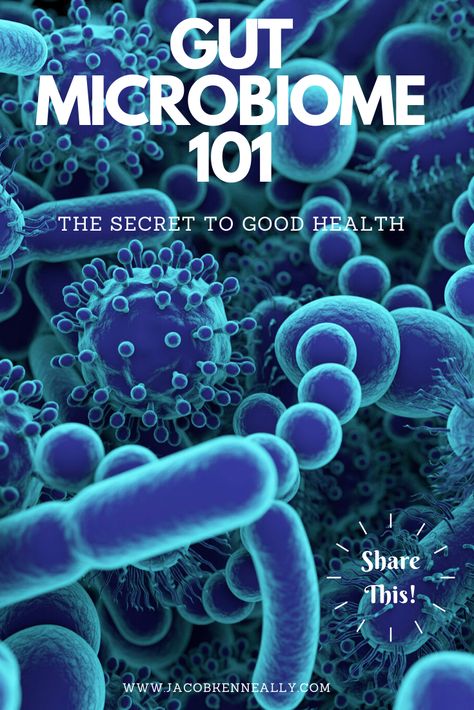 Gut microbiome 101. What is the gut microbiome, what affects the gut microbiome, and how to support the health of your gut microbiome. This detailed article backed by science will talk about how you can improve your health, the gut brain connection, how fermented foods can support the gut, how to restore the health of your gut, and how gut health relates to autoimmune disease or other health problems. #guthealth #microbiome Gut Brain Connection, Microbiome Diet, Gut Healing Recipes, Healthy Microbiome, Brain Connections, Gut Brain, Health Podcast, Gut Healing, Gut Microbiome