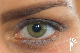 http://percypjames.hubpages.com/hub/Green-Contacts-on-Brown-Eyes Green Contacts On Brown Eyes, Green Eye Contacts, Contact Lenses For Brown Eyes, Solotica Lenses, Coloured Contacts, Eyes Speak, Green Contacts Lenses, Hype Fashion, Colored Eye Contacts