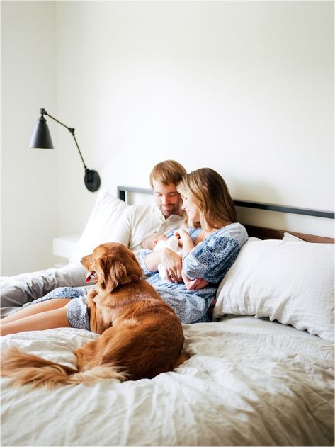 In Home Newborn Session Lifestyle With Dog, Newborn Lifestyle Photography At Home With Dog, Newborn Family Photos With Dog, Happy Family With Dog, Momo Photoshoot, 1st Photoshoot, Newborn Christmas Pictures, Newborn Session At Home, Newborn And Dog