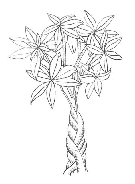 Money Tree Tattoo Designs, Money Plant Tattoo, Money Tree Drawing, Money Tree Tattoo, Tattoo Money, Trees Tattoo, Black Line Tattoo, Money Tree Plant, Random Tattoos