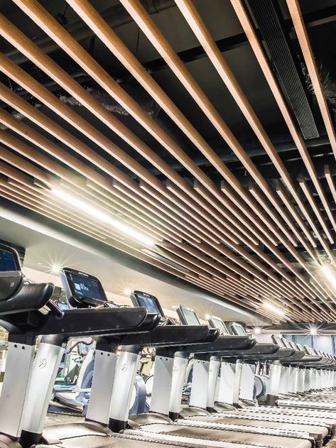 Suspended Ceiling Systems, Floating Ceiling, Acoustical Ceiling, Gym Design Interior, Wood Facade, Pop False Ceiling Design, Gym Interior, Ceiling System, Gym Room