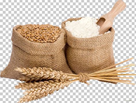 Flour Image, Bread Png, Ganpati Decor, Rice Brands, Flour Bread, Copyright Free Images, Soya Bean, Corn Flour, Food Processing