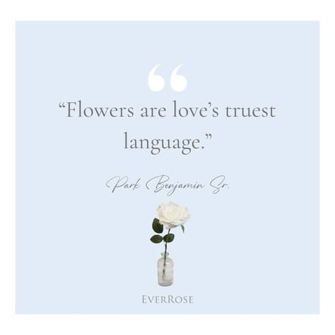 Flowers are the unspoken yet powerful language of love. 🌼 #Everrose #RealFeel #flowers #blooms Language Of Love, Of Love, Feelings, Flowers