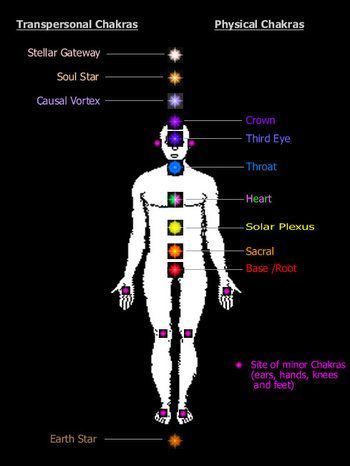 Causal chakra (or past life chakra), located 3 to 4 inches behind the center back of the head, is a gateway to angelic kingdom. Causal Chakra, Chakra Flowers, Sacral Chakra Meditation, Chakra Meditation Art, What Are Chakras, Chakras Explained, Chakra Meaning, Heart Chakra Meditation, Chakra Locations