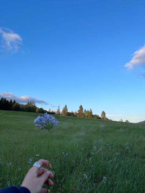 Oregon Vision Board, Oregon Astethic, Pnw Small Town Aesthetic, Oregon Granola Aesthetic, Oregon Spring, Pnw Summer Aesthetic, Oregon Aesthetic, Hiking Aesthetic, Hood River