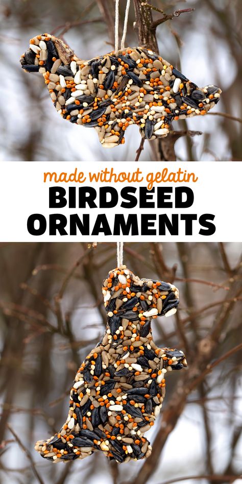 Birdseed Ornaments Made Without Gelatin - An easy and fun vegan recipe for birdseed ornaments! Follow along with Fireflies and Mud Pies for more great ideas! via @firefliesandmudpies Bird Seed Ornaments Recipe, Bird Feeders For Kids To Make, Birdseed Ornaments, Bird Feeder Craft, Bird Seed Ornaments, Bird Seed Feeders, Easy Bird, Homemade Bird Feeders, Laundry Ideas