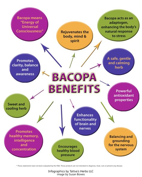 Bacopa Benefits, Ayurveda Herbs, Dream Herbs, Herb Guide, Herb Life, Mental Healing, Baobab Oil, Holistic Health Remedies, Magic Herbs