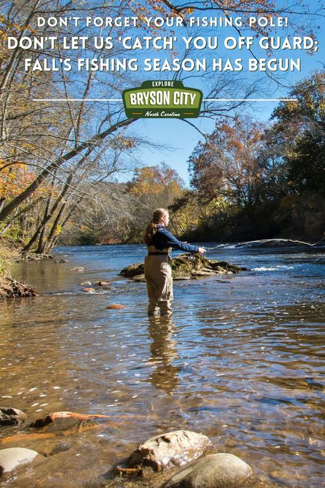 Bryson City North Carolina, Fontana Lake, Bryson City Nc, Fall Fishing, Tourism Development, Bryson City, Calm Waters, North Carolina Mountains, Mountain Stream