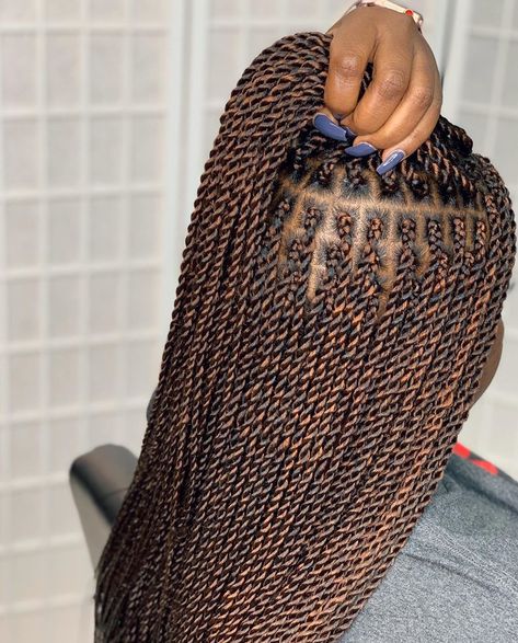 Medium Senegalese Twist, Medium Twist Braids, Senegalese Twist Hairstyles, Senegalese Twist Braids, Bob Braids Hairstyles, Big Box Braids, Braids Hairstyles For Black Women, African Hair Braiding Styles, Twist Braid