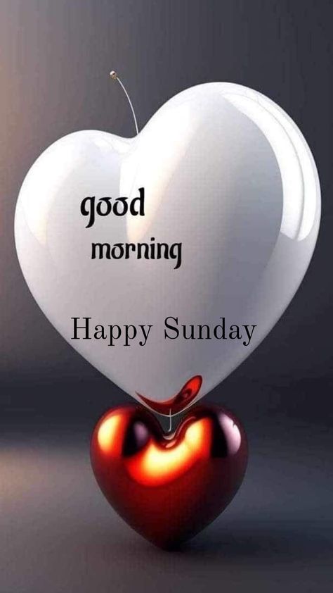 Blessings Sunday, Happy Morning Images, Happy Sunday Pictures, Sunday Morning Images, Sunday Morning Prayer, Sunday Morning Wishes, Blessed Sunday Morning, Quotes Sunday, Happy Sunday Images